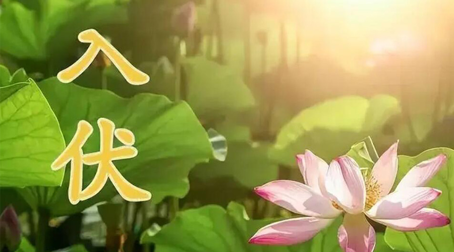 入伏天來襲！金環(huán)電器提醒大家要注意的事項(xiàng)