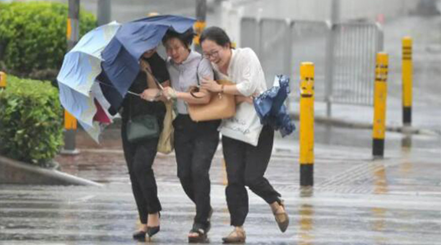 家有衣物烘干機，無懼臺風天吹走和淋濕衣物！