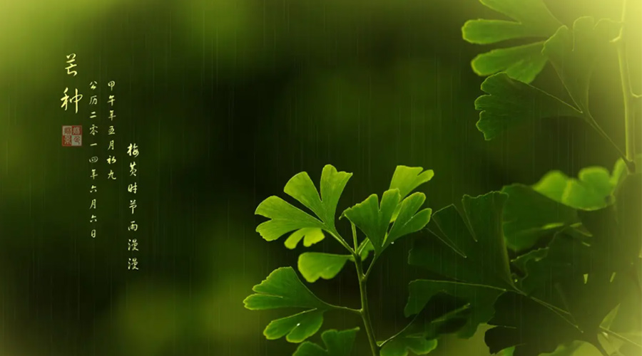 芒種時節！金環電器提醒大家的注意事項